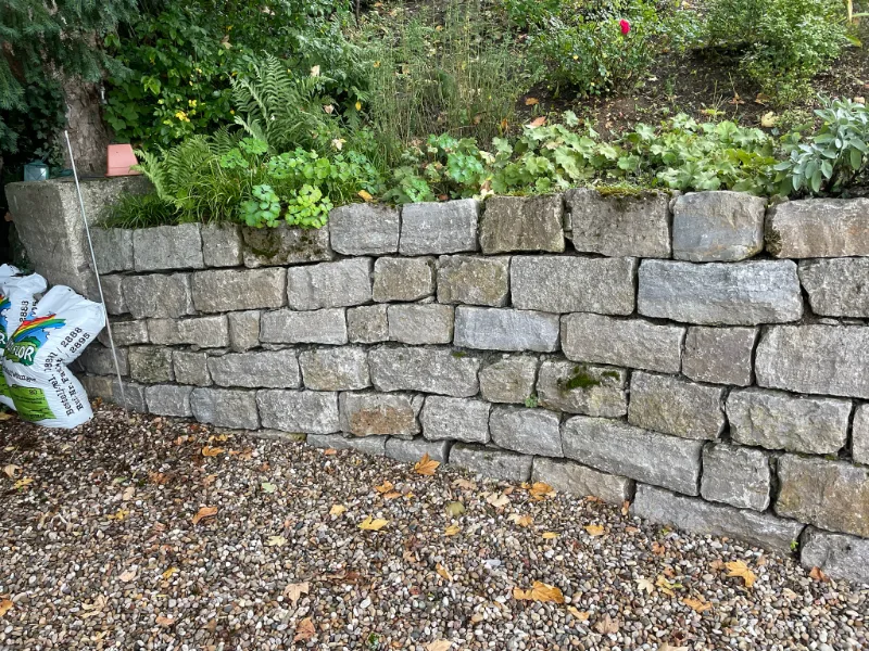 Fertige Stützmauer aus lagerhaft geschichtetem Muschelkalk mit bepflanzter Krone und Kiesstreifen davor